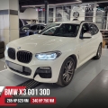 Чип тюнинг BMW X3 G01 30d 265hp